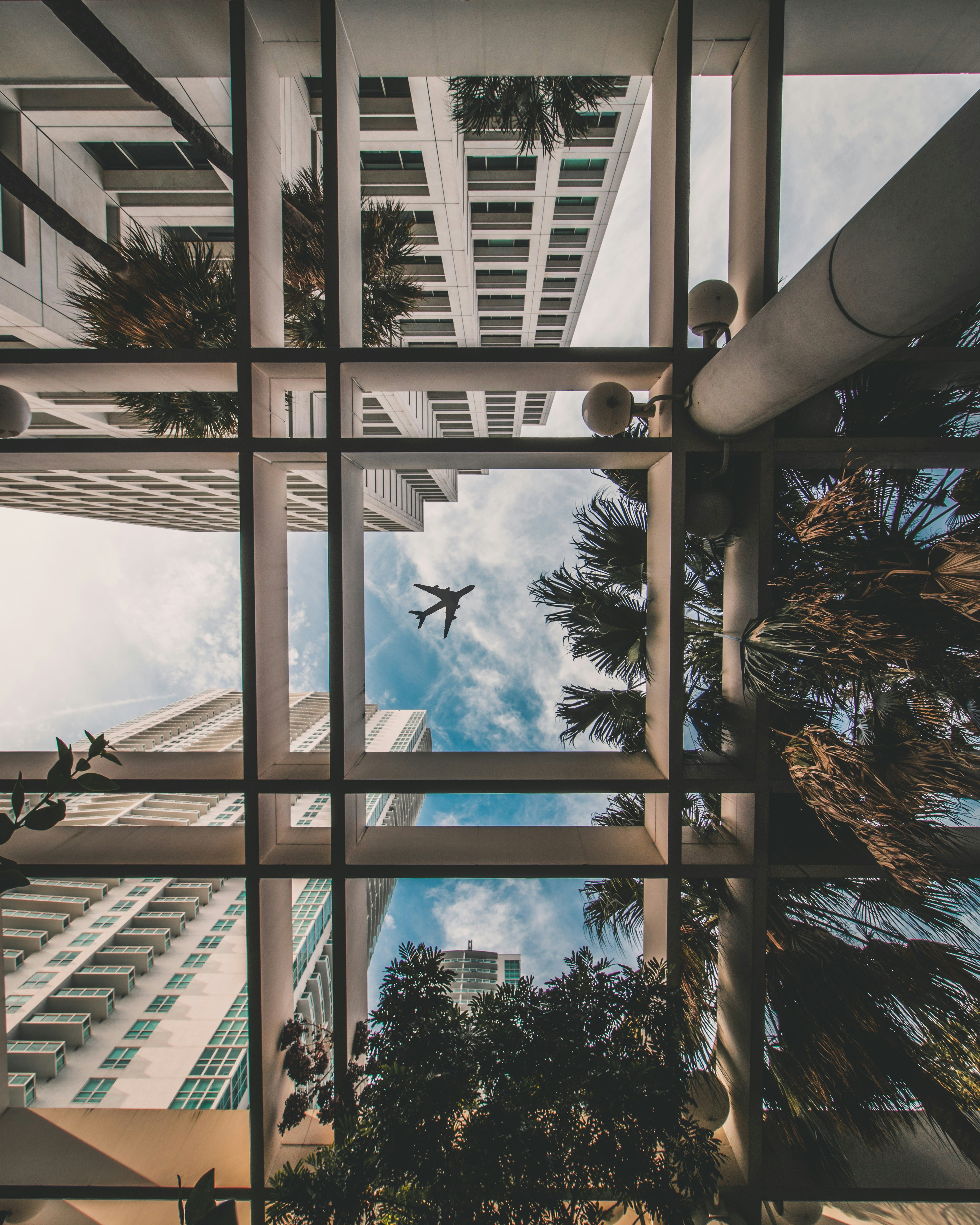 Upward view through a glass atrium ceiling of Miami towers, palm trees, and an airplane in the sky