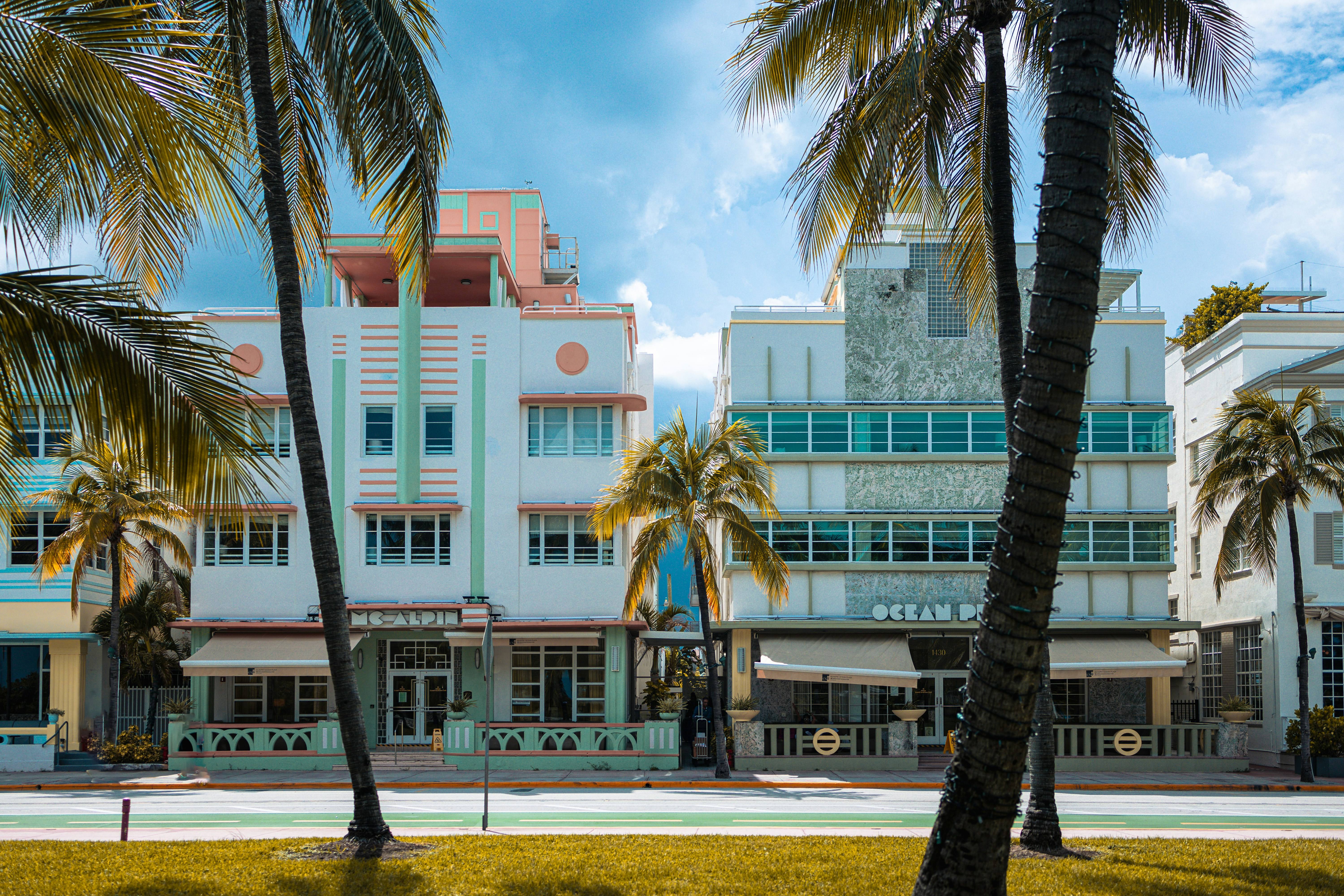 Ocean Drive Art Deco buildings framed by palm trees under a blue sky